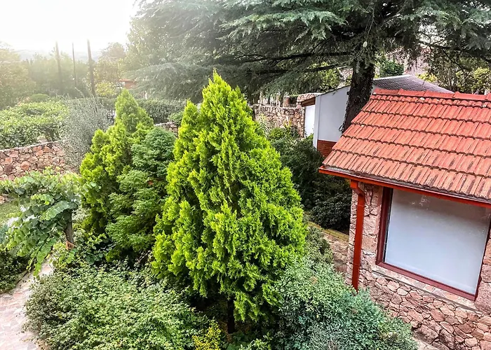Ashram Asociacion Argentina De Yoga