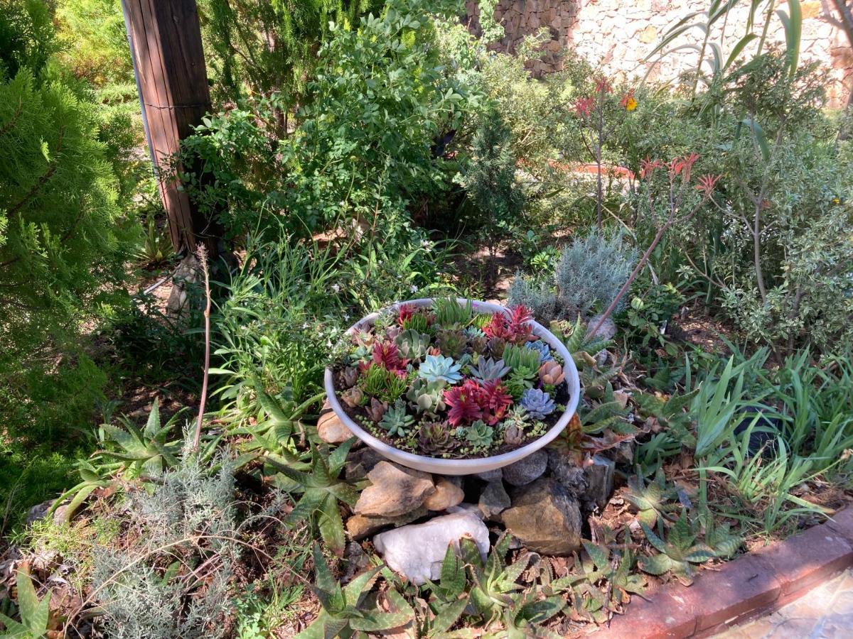 Ashram Asociacion Argentina De Yoga Holiday home *