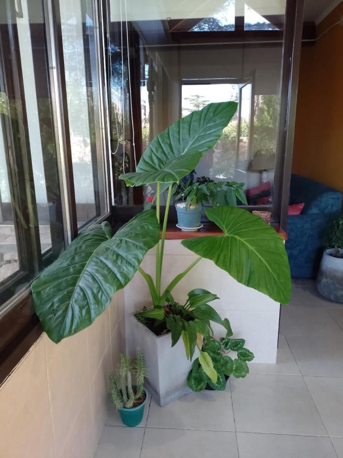 Holiday home Ashram Asociacion Argentina De Yoga
